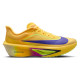 Nike Zoom Fly 6